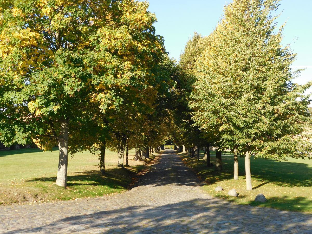 Relais&Châteaux Gutshaus Stolpe Stolpe an der Peene Exterior foto